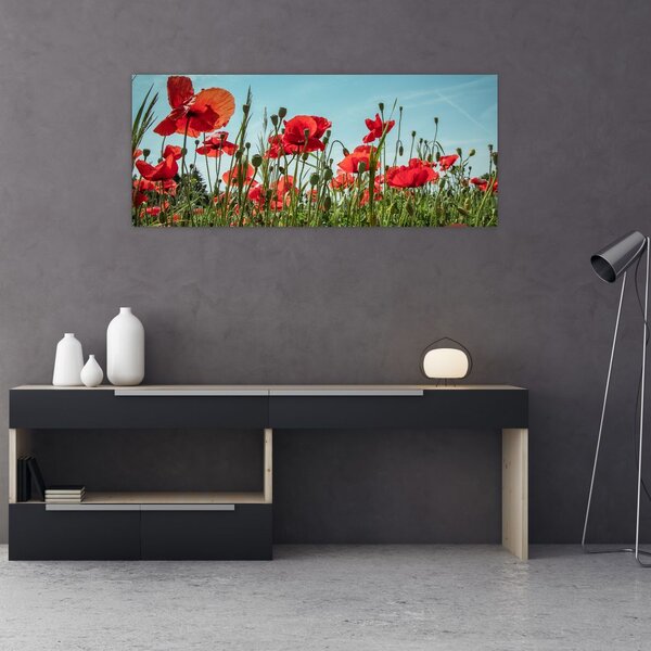 Slika - Na polju makova (120x50 cm)