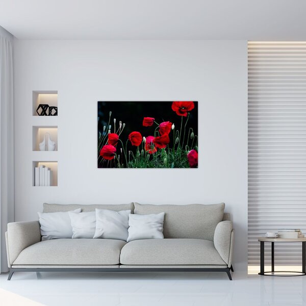 Slika - Ples makova (90x60 cm)