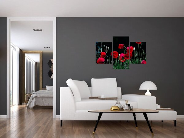 Slika - Ples makova (90x60 cm)