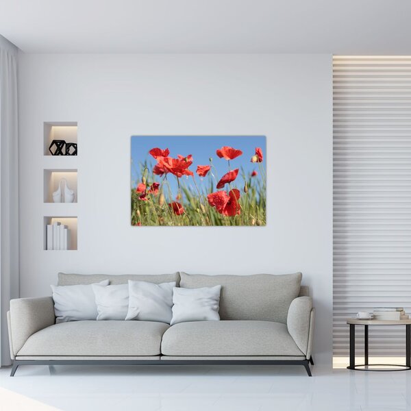 Slika - makovi (90x60 cm)