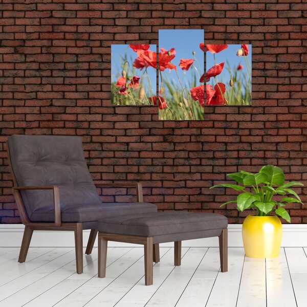 Slika - makovi (90x60 cm)