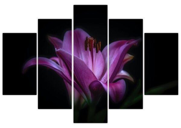 Slika ljiljana (150x105 cm)