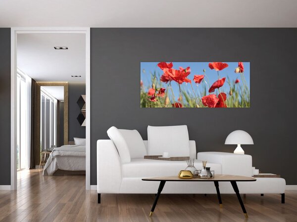 Slika - makovi (120x50 cm)