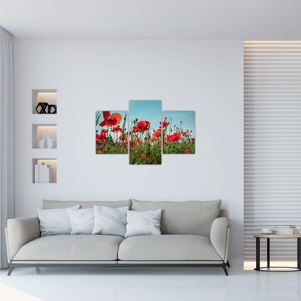 Slika - Na polju makova (90x60 cm)