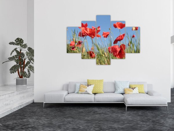 Slika - makovi (150x105 cm)
