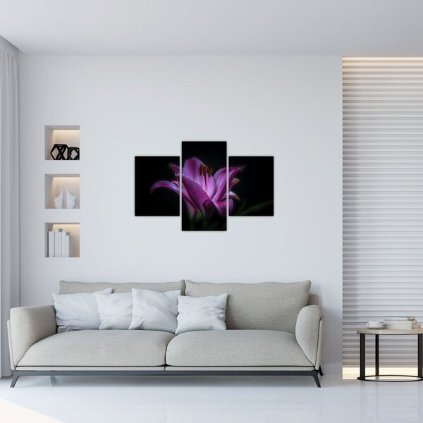 Slika ljiljana (90x60 cm)