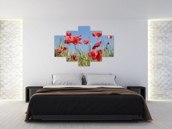 Slika - makovi (150x105 cm)
