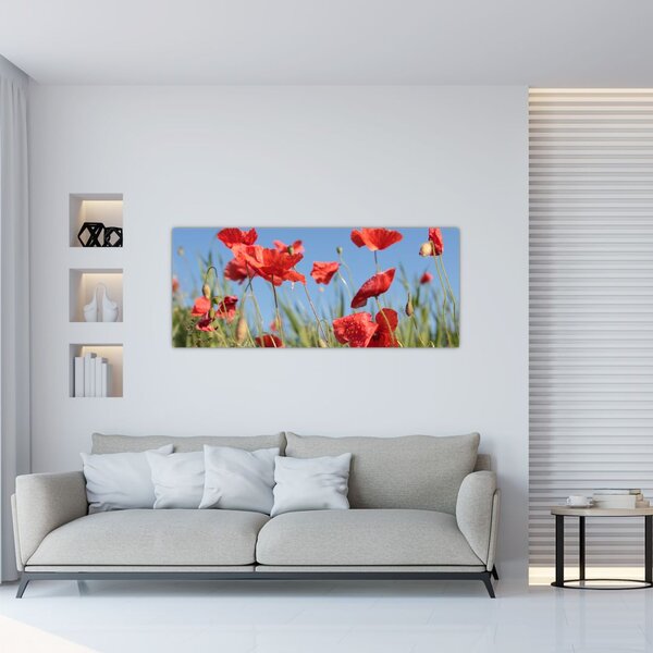Slika - makovi (120x50 cm)