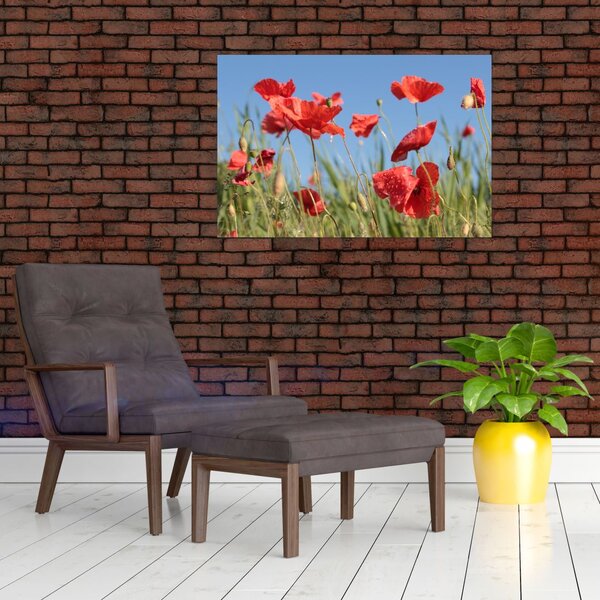 Slika - makovi (90x60 cm)