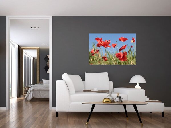 Slika - makovi (90x60 cm)