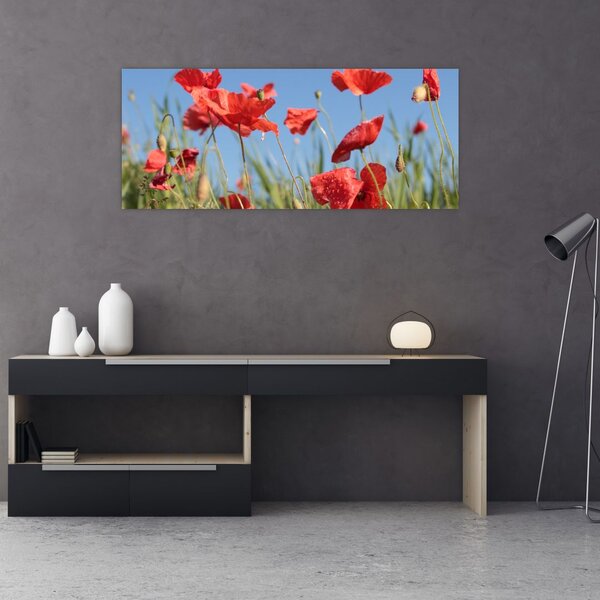 Slika - makovi (120x50 cm)