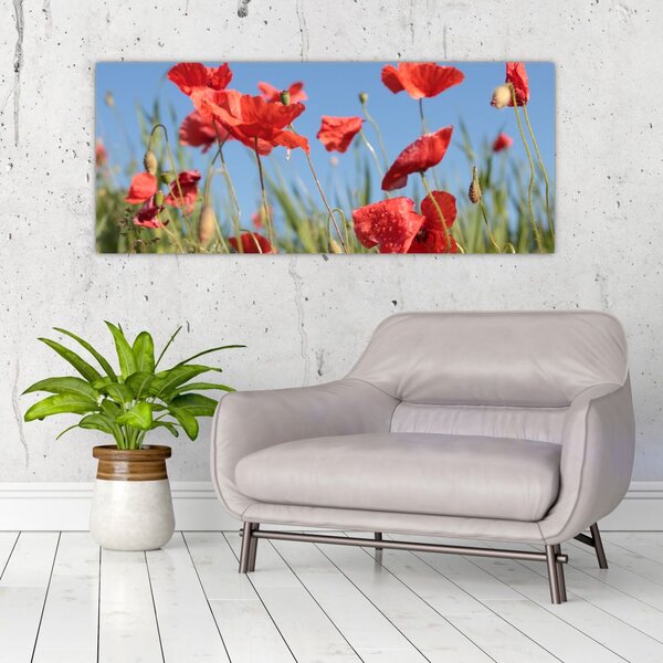 Slika - makovi (120x50 cm)