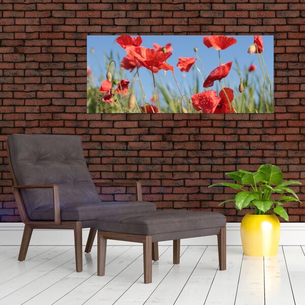 Slika - makovi (120x50 cm)