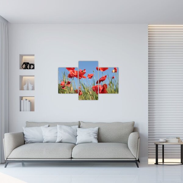 Slika - makovi (90x60 cm)