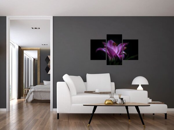 Slika ljiljana (90x60 cm)