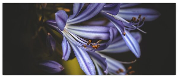 Slika - Lila (120x50 cm)