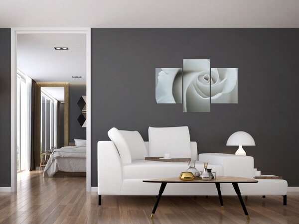 Slika - Bijela ruža (90x60 cm)