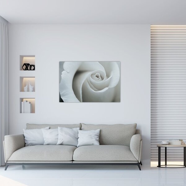 Slika - Bijela ruža (90x60 cm)
