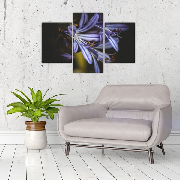 Slika - Lila (90x60 cm)
