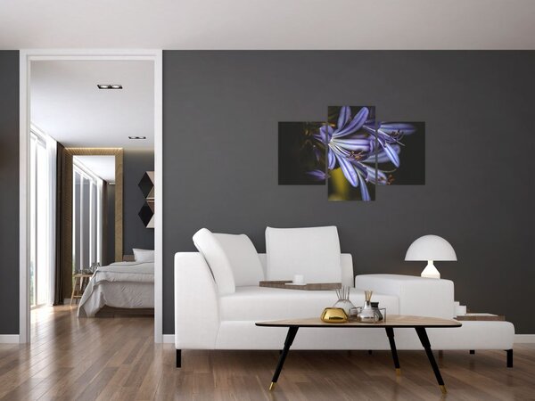Slika - Lila (90x60 cm)