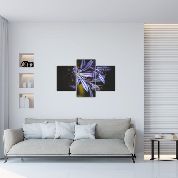 Slika - Lila (90x60 cm)
