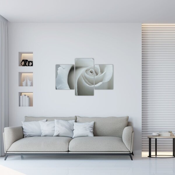 Slika - Bijela ruža (90x60 cm)