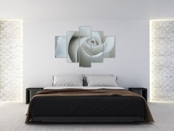 Slika - Bijela ruža (150x105 cm)