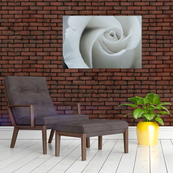 Slika - Bijela ruža (90x60 cm)
