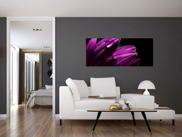 Slika - Kapljica vode (120x50 cm)