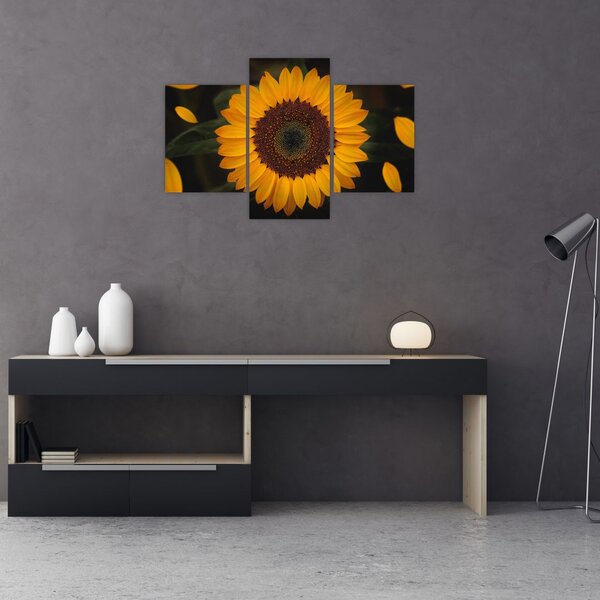 Slika - Suncokreti i latice cvijeta (90x60 cm)