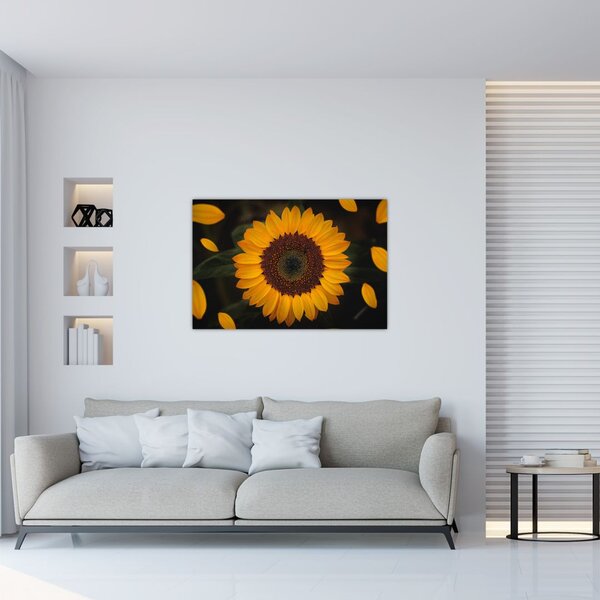 Slika - Suncokreti i latice cvijeta (90x60 cm)