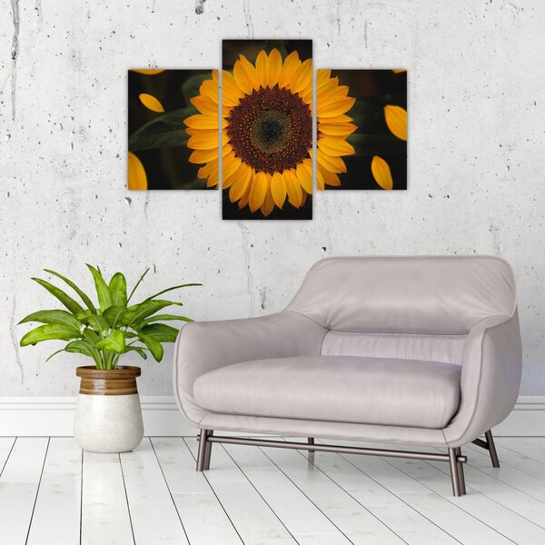 Slika - Suncokreti i latice cvijeta (90x60 cm)