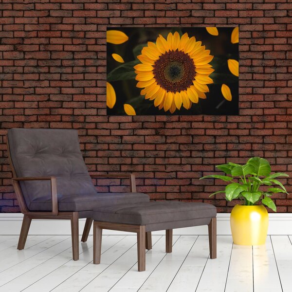 Slika - Suncokreti i latice cvijeta (90x60 cm)