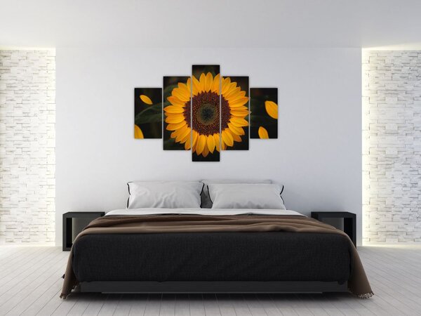 Slika - Suncokreti i latice cvijeta (150x105 cm)