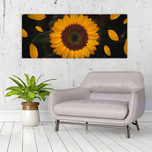 Slika - Suncokreti i latice cvijeta (120x50 cm)