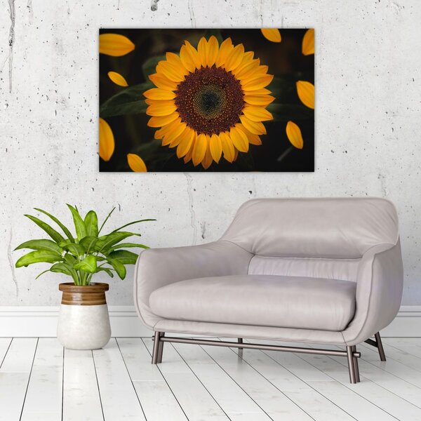 Slika - Suncokreti i latice cvijeta (90x60 cm)