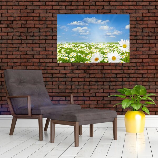 Slika procvjetale livade s tratinčicama (90x60 cm)