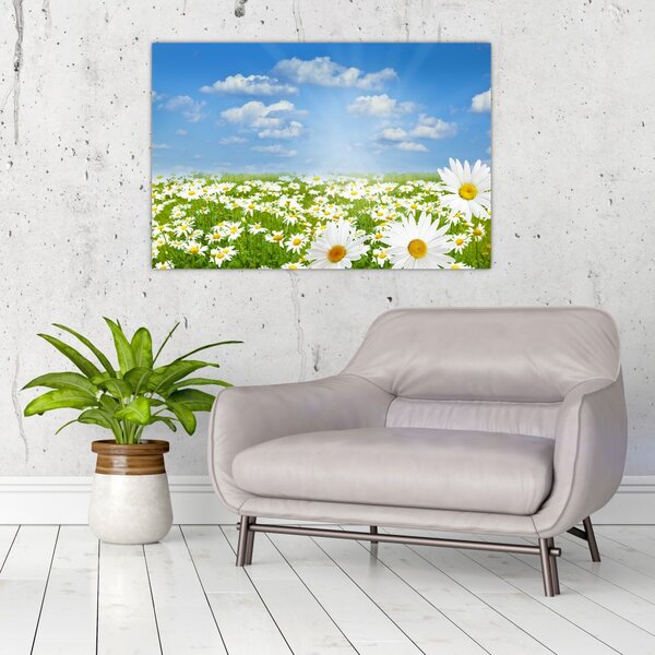 Slika procvjetale livade s tratinčicama (90x60 cm)