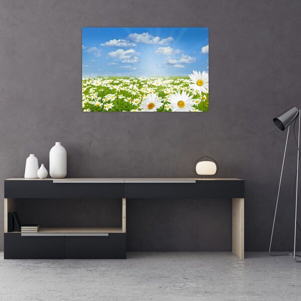 Slika procvjetale livade s tratinčicama (90x60 cm)