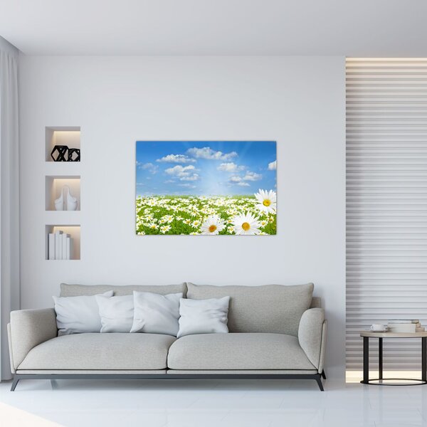 Slika procvjetale livade s tratinčicama (90x60 cm)