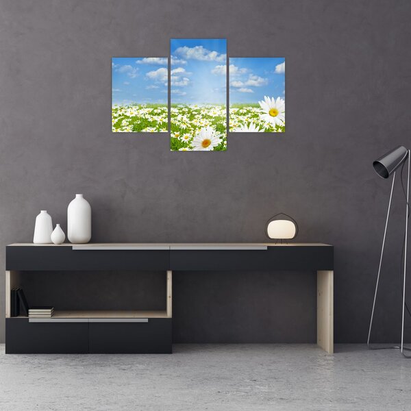 Slika procvjetale livade s tratinčicama (90x60 cm)