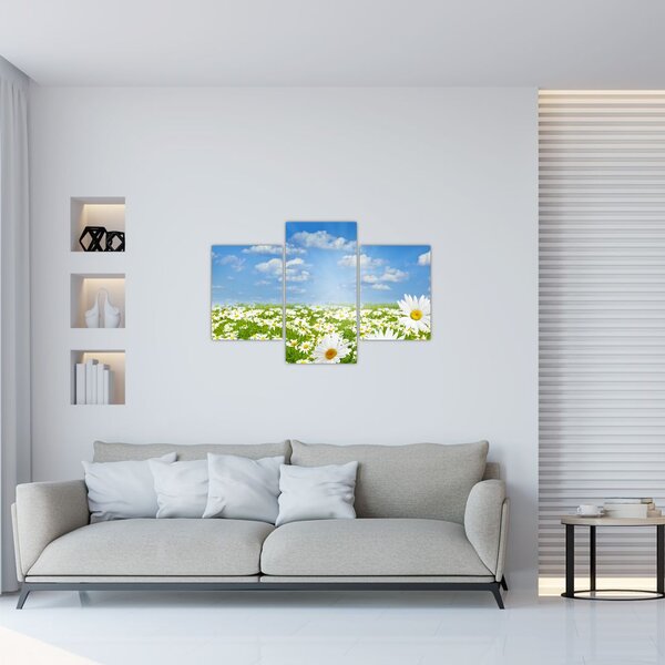 Slika procvjetale livade s tratinčicama (90x60 cm)