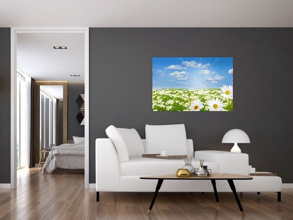 Slika procvjetale livade s tratinčicama (90x60 cm)