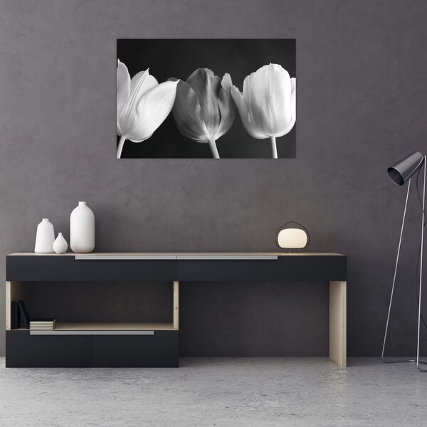 Slika - Crno-bijeli cvjetovi tulipana (90x60 cm)