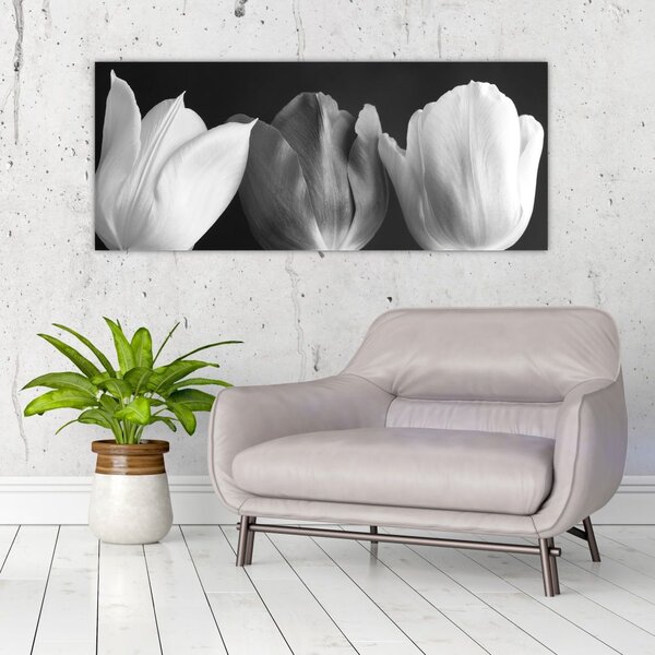 Slika - Crno-bijeli cvjetovi tulipana (120x50 cm)