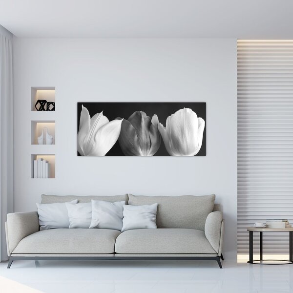 Slika - Crno-bijeli cvjetovi tulipana (120x50 cm)