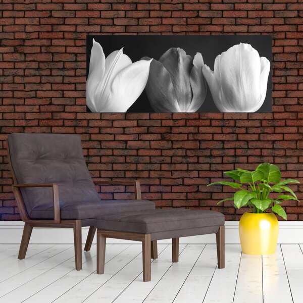 Slika - Crno-bijeli cvjetovi tulipana (120x50 cm)