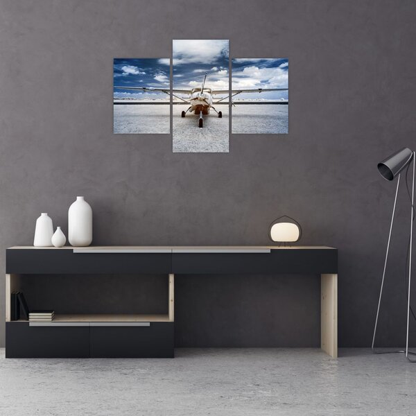 Slika motornog zrakoplova (90x60 cm)