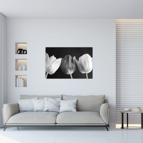 Slika - Crno-bijeli cvjetovi tulipana (90x60 cm)