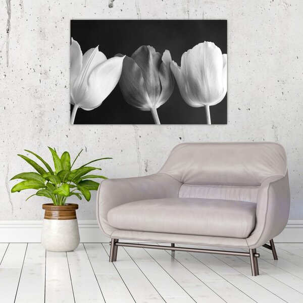 Slika - Crno-bijeli cvjetovi tulipana (90x60 cm)
